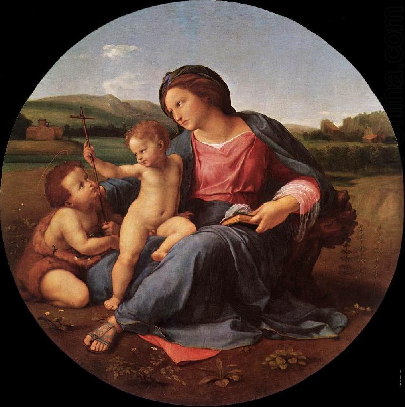 RAFFAELLO Sanzio The Alba Madonna china oil painting image